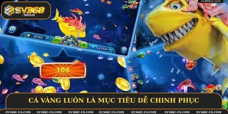 Cá vàng luôn là mục tiêu dễ chinh phục