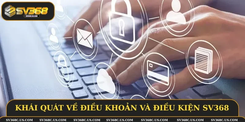 Những thông tin về điều khoản và điều kiện SV368