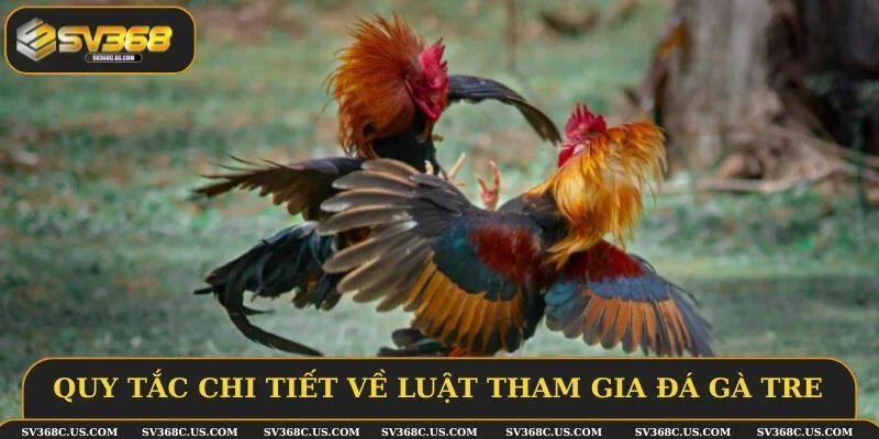 Quy tắc chi tiết về luật tham gia đá gà tre