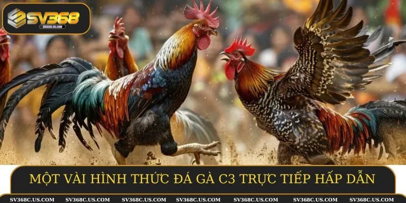 Một vài hình thức đá gà C3 trực tiếp hấp dẫn